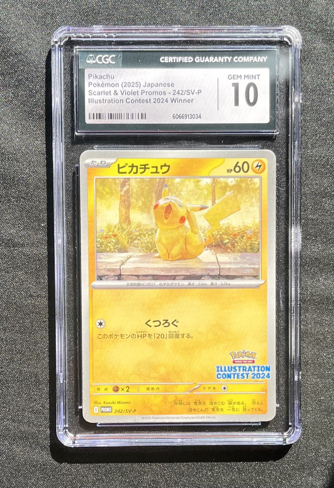 PIKACHU Illustration Contest 2024 Japanese Promo #242 CGC 10 Gem Mint Pokemon