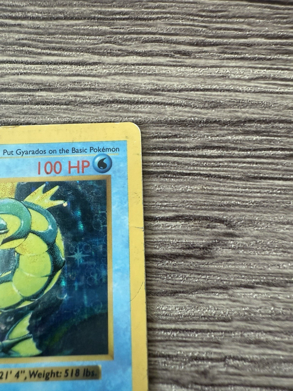 Pokemon Gyarados Holo Rare Base Set Shadowless #006/102