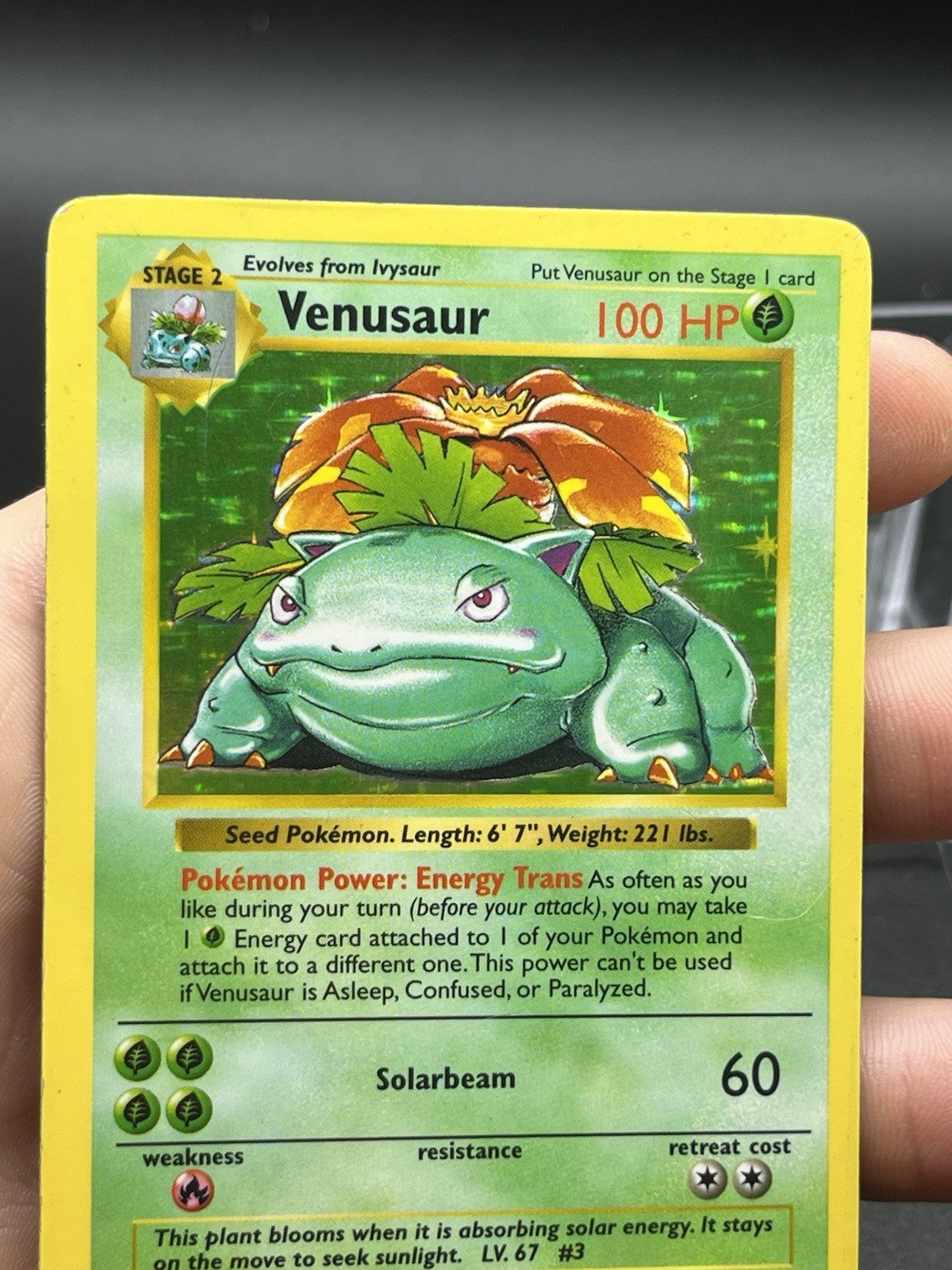 Venusaur 15/102 Shadowless Base Set 1999 Holo Vintage Pokemon WOTC