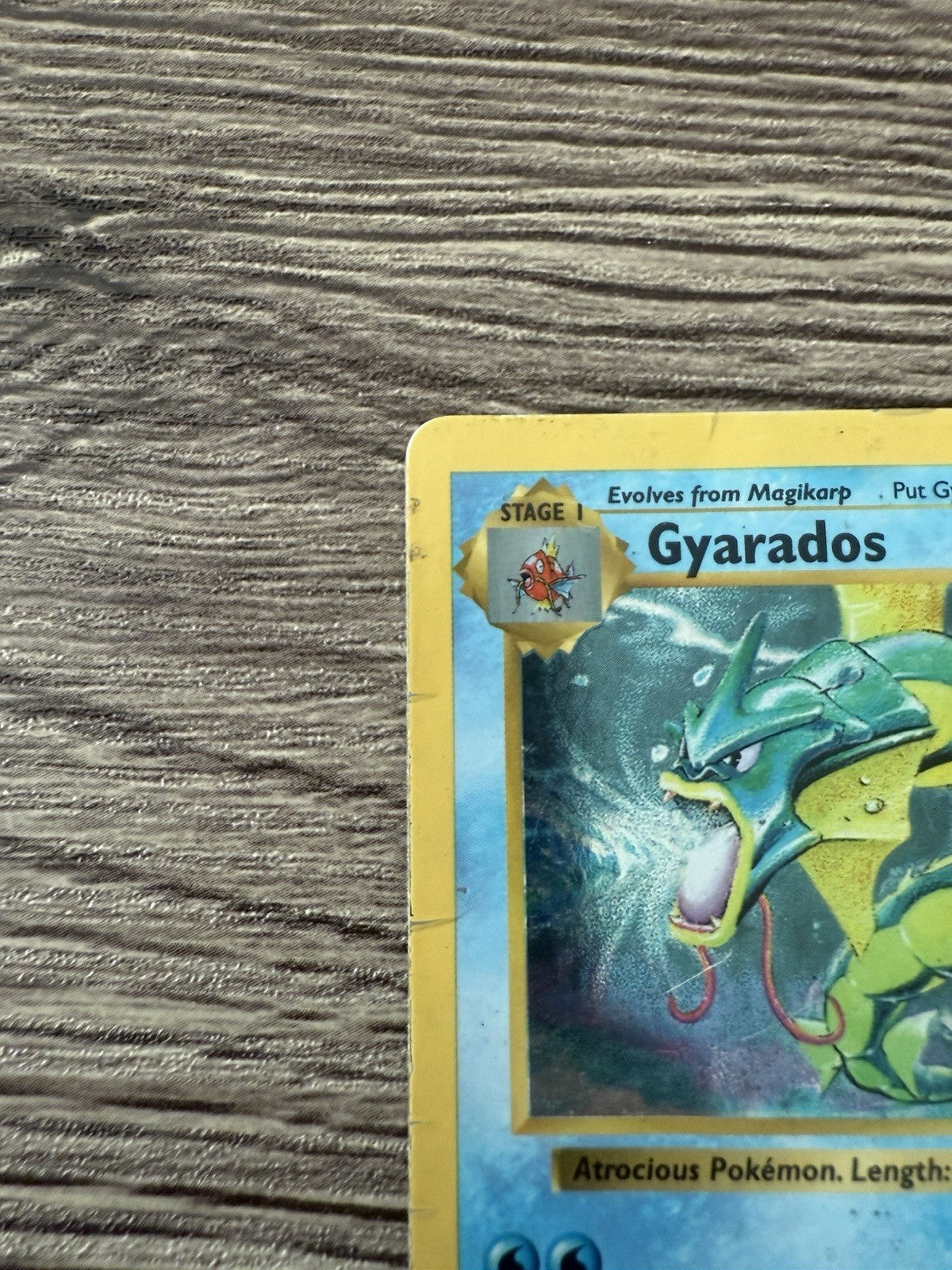 Pokemon Gyarados Holo Rare Base Set Shadowless #006/102